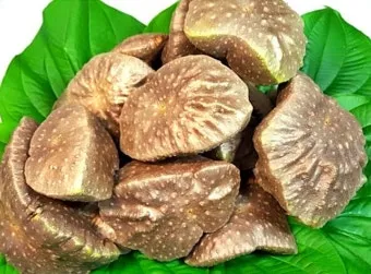 마 효능 보관법 먹는법 마즙 만들기까지 종합 가이드_18