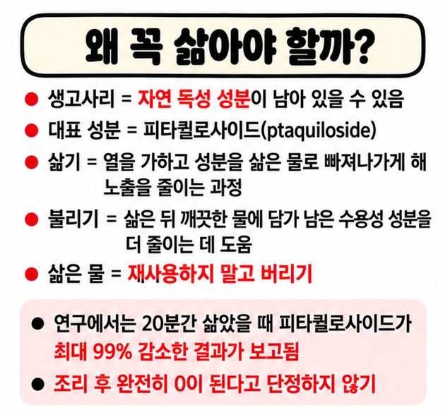 생고사리의 피타퀼로사이드 같은 자연 독성 성분과 삶기 불리기로 노출을 줄이는 원리를 보여주는 카드