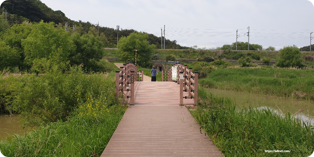 화포천습지생태공원