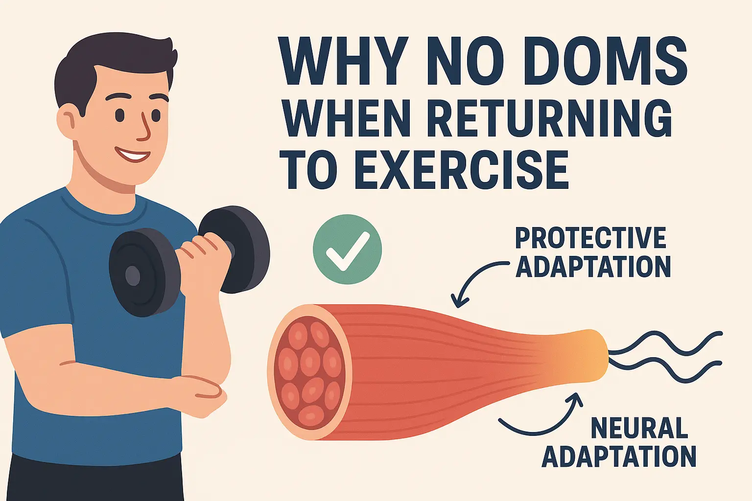 오랜만에-운동을-다시-시작했지만-근육에-노출된-보호적-적응과-신경-적응으로-근섬유가-손상되지-않아-통증이-발생하지-않는-상태를-인포그래픽으로-보여주는-이미지