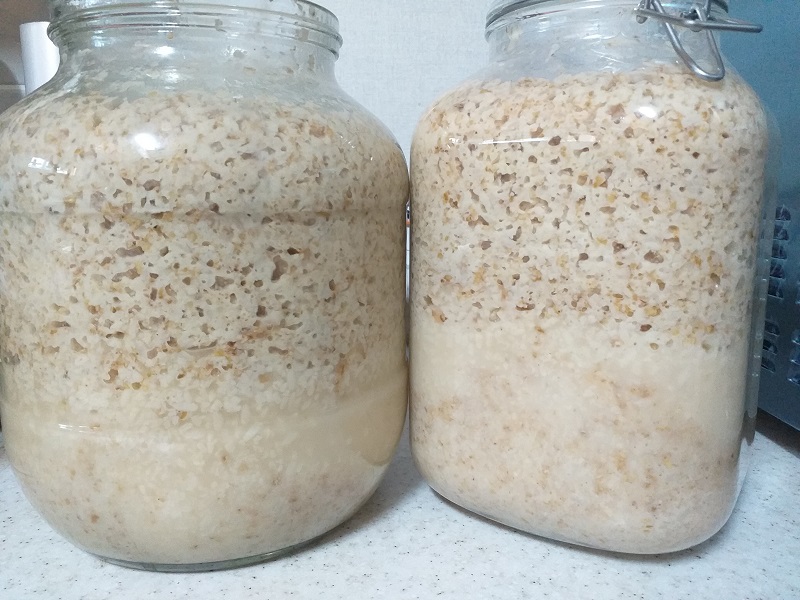 막걸리 만드는 방법