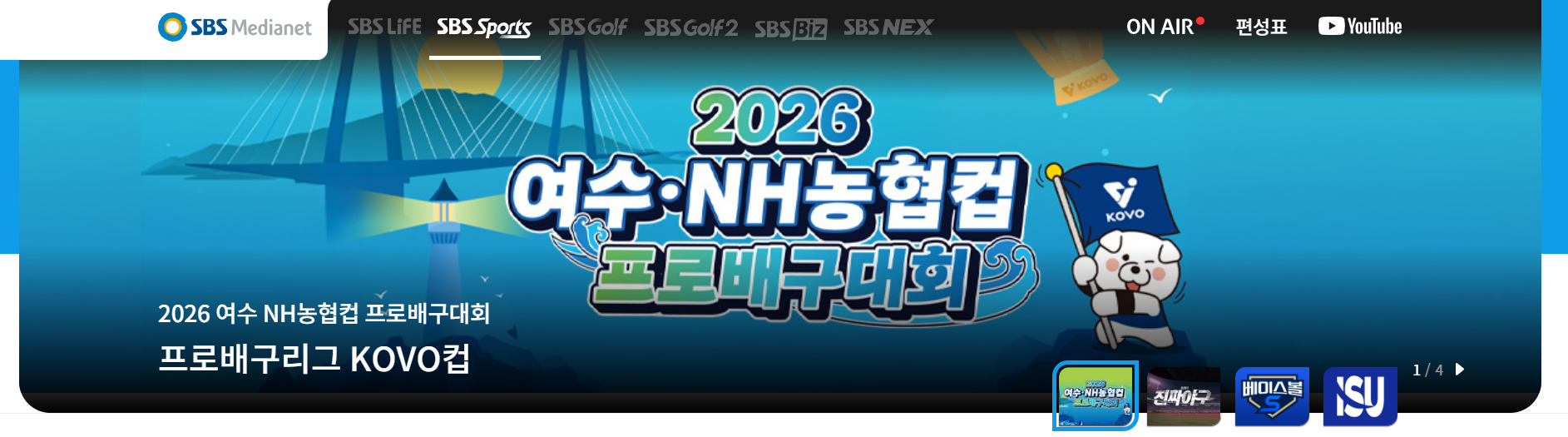 남자배구 일정