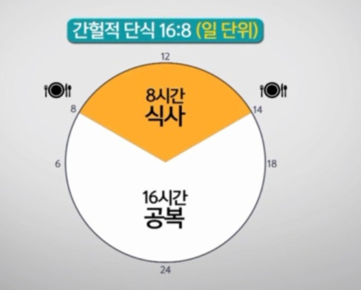 간헐적 단식 시간 이미지 16_8