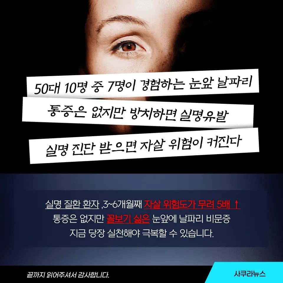 비문증영양제