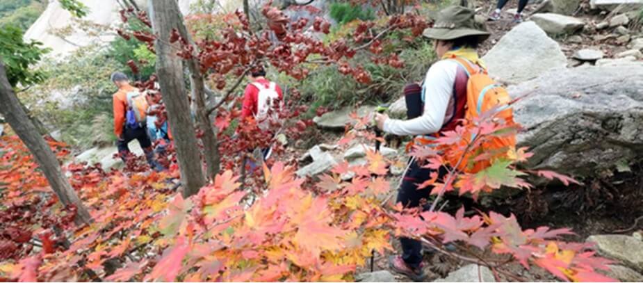 뱀에-물렸을때-응급처치