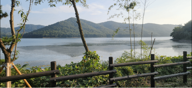 탐방열차 타고 운곡습지생태공원 가는 길