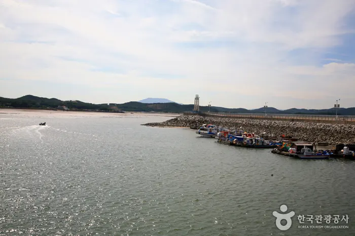 남당항 전경 이미지