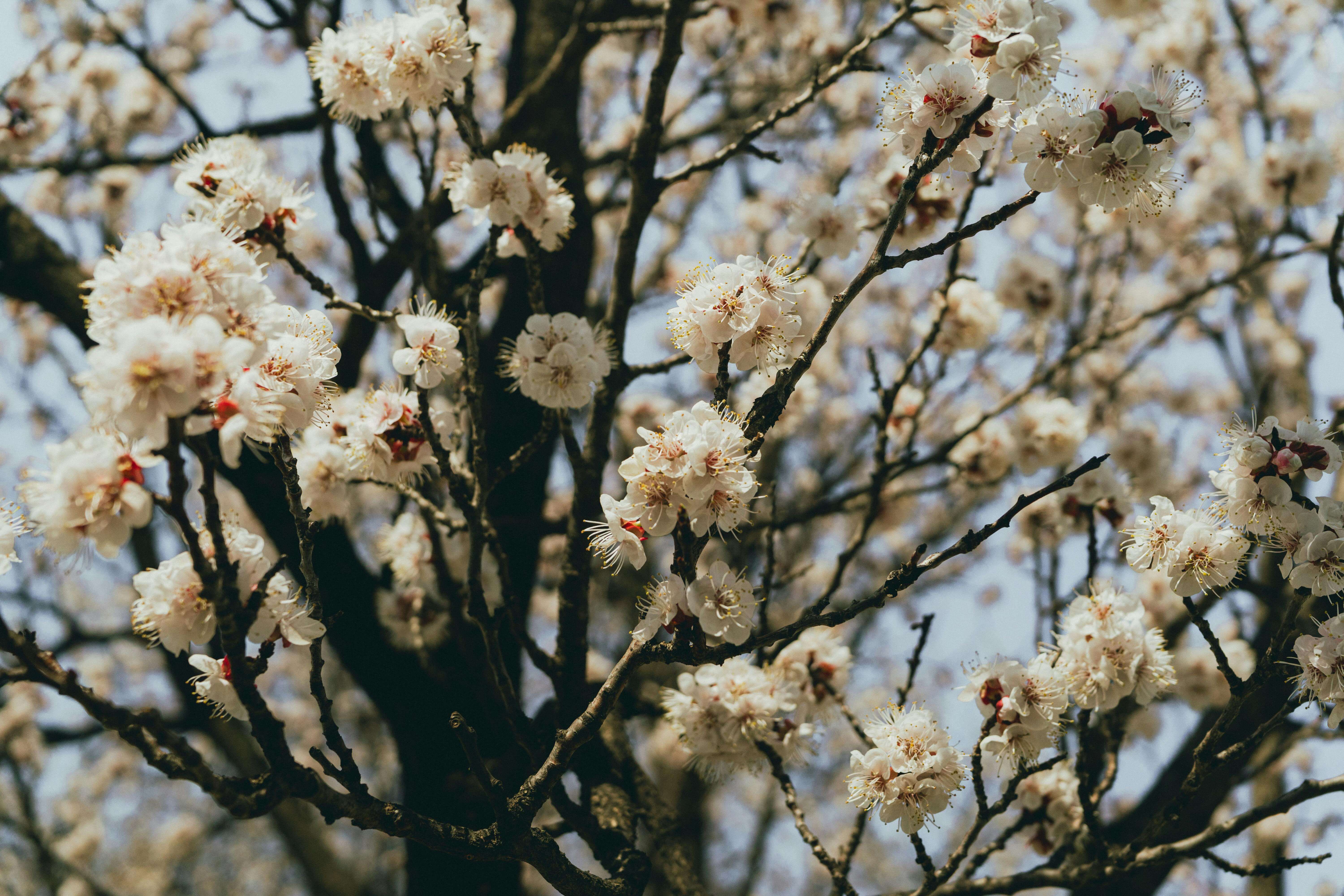 춘곤증 원인과 해결 방법&amp;#44; 봄철 피로가 계속되는 이유