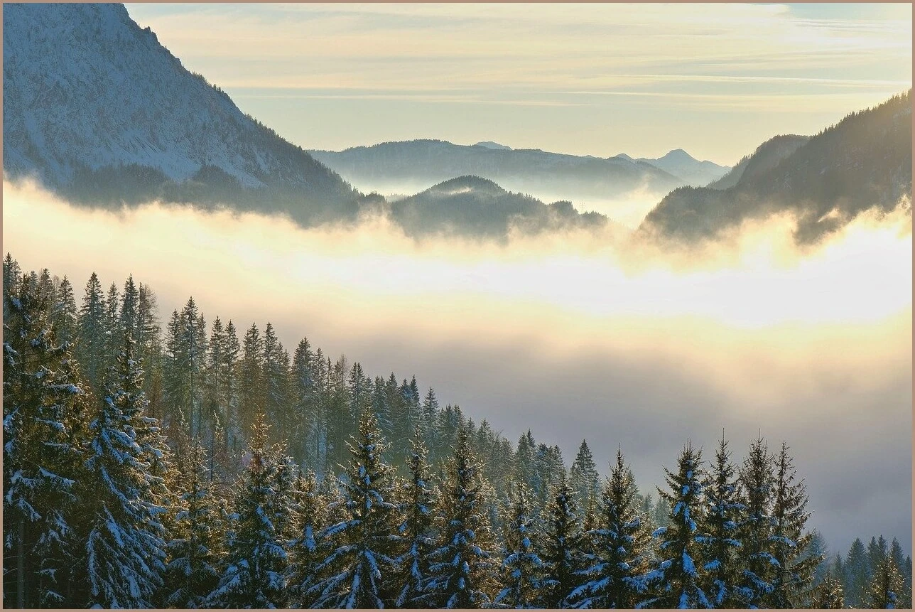 국민은행 정기예금 금리
