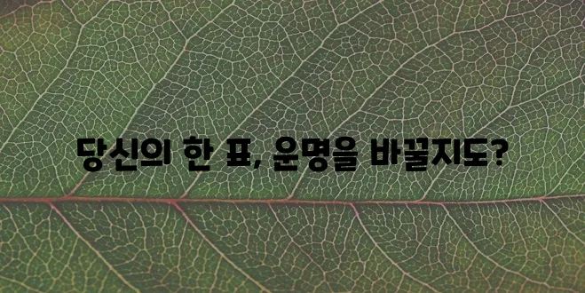 내일은 국민가수 투표 꼭 참여해야겠죠!