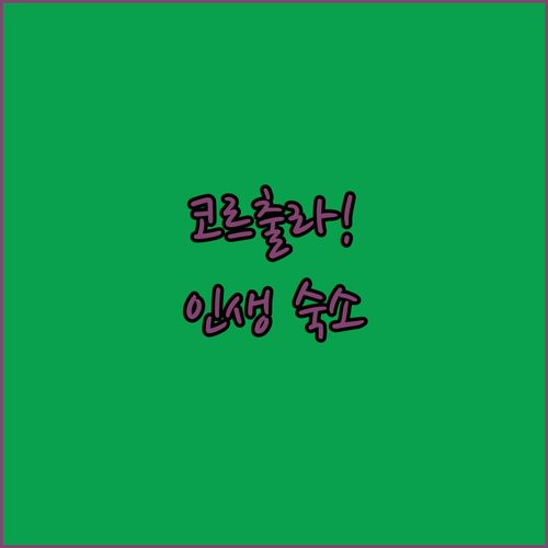 코르출라 여행 숙소 예약 가이드 구시..