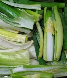 대파 효능과 부작용 고르는법