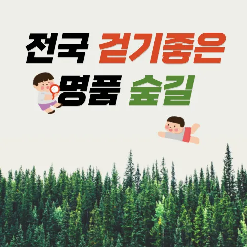 전국_걷기_좋은_명품_숲길