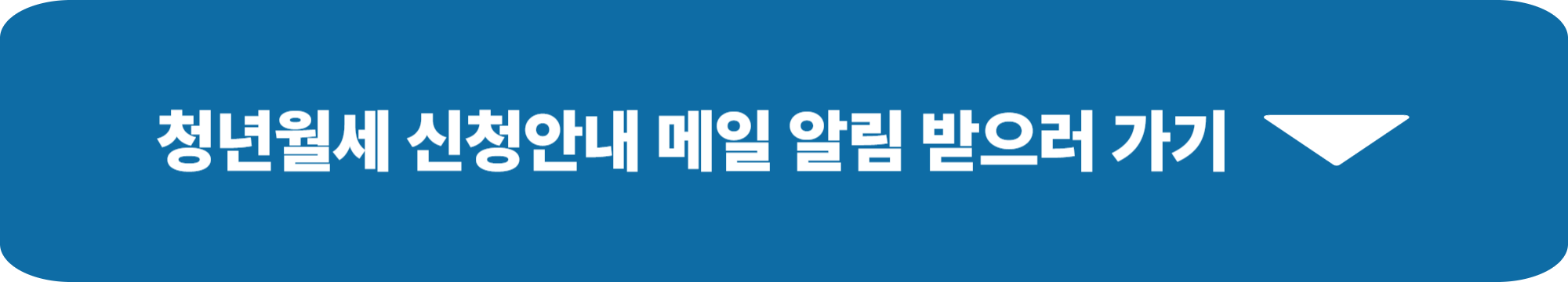 2025 청년월세지원금