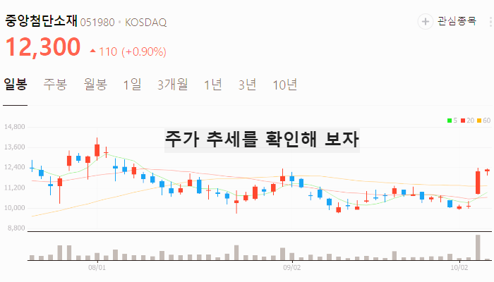 수산화리튬 관련주 대장주 테마주 수혜주 TOP7