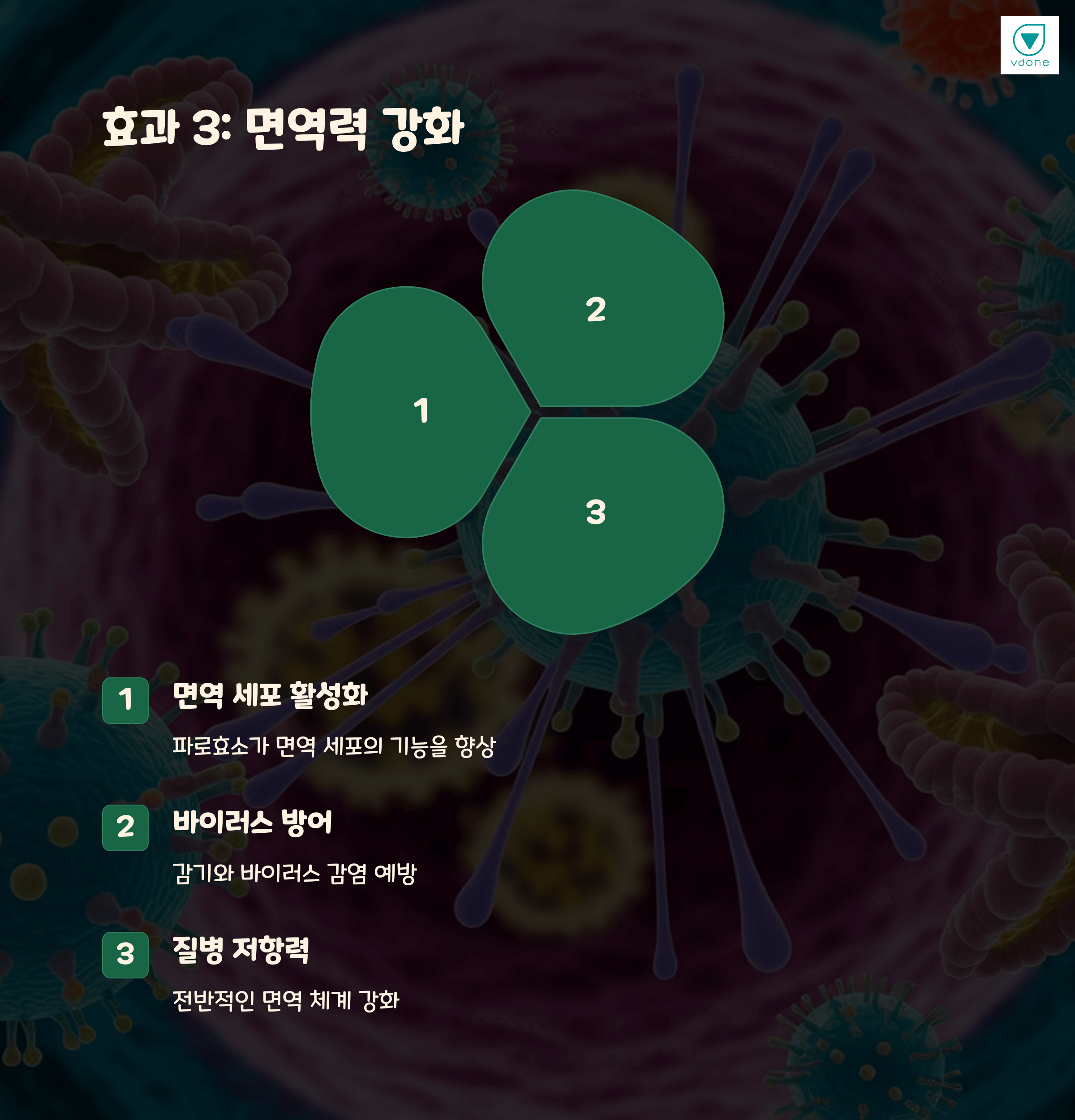 파로효소 효능