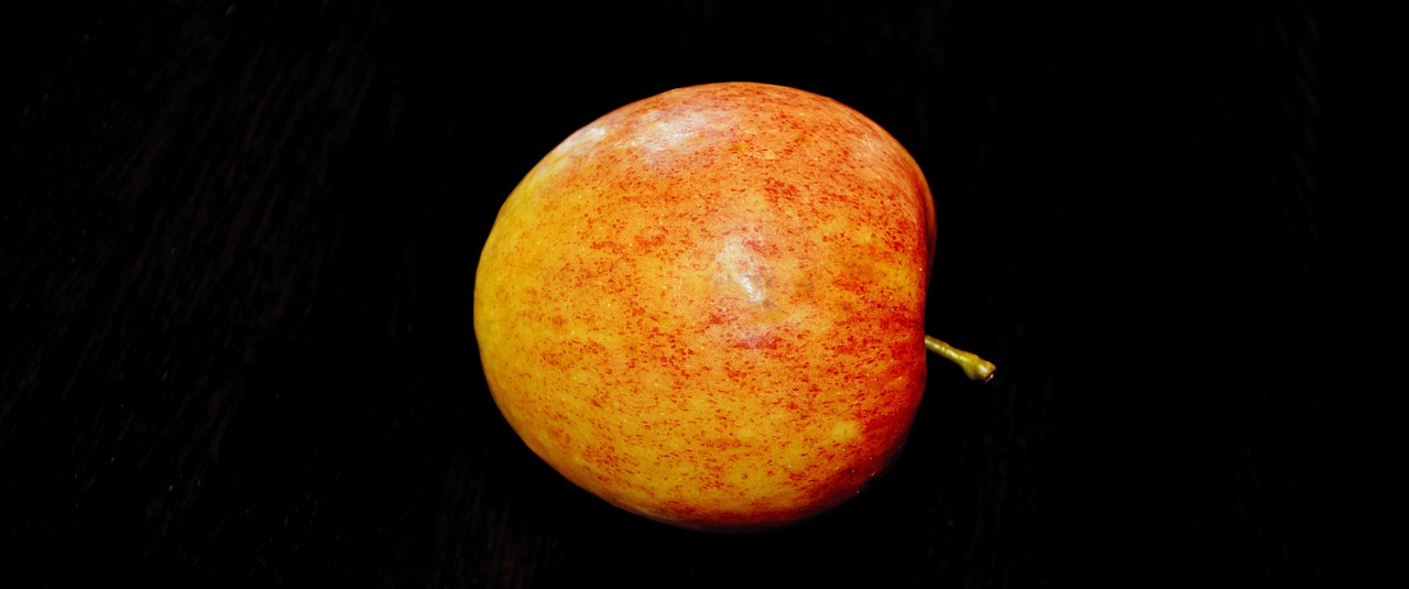 생애 주기별 건강 검진