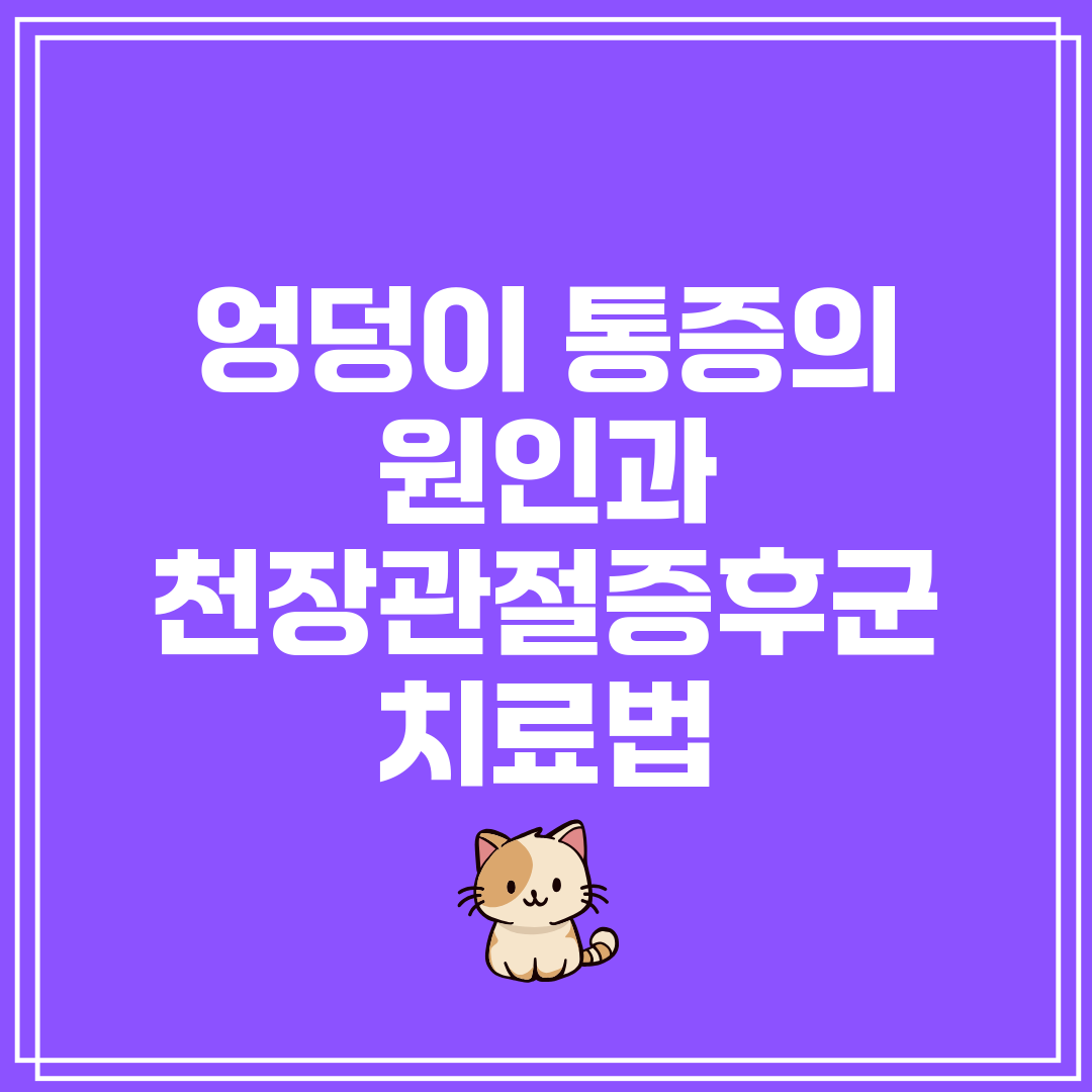 엉덩이 통증의 원인과 천장관절증후군 치료법