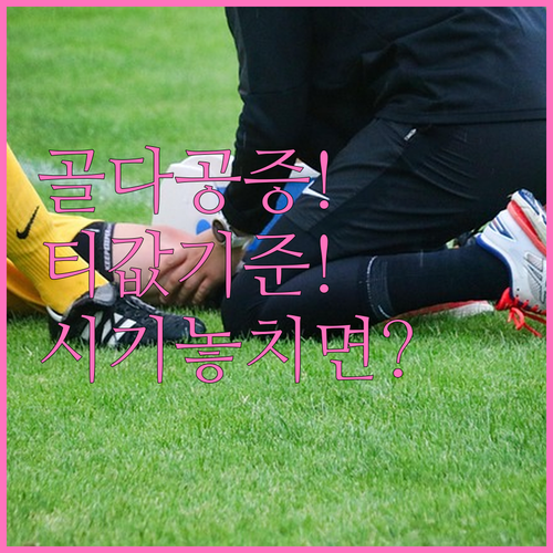 골다공증 검사 시기와 T값 기준 총정..
