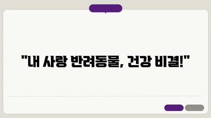 울애기쌩쌩 이너플러스 반려동물 건강 효과 및 내돈내산 훀기