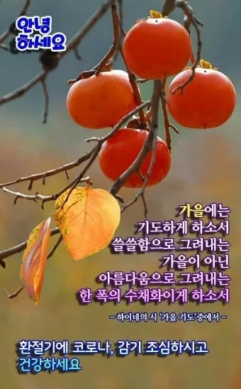 11월 인사말 모음 예시 멘트_26