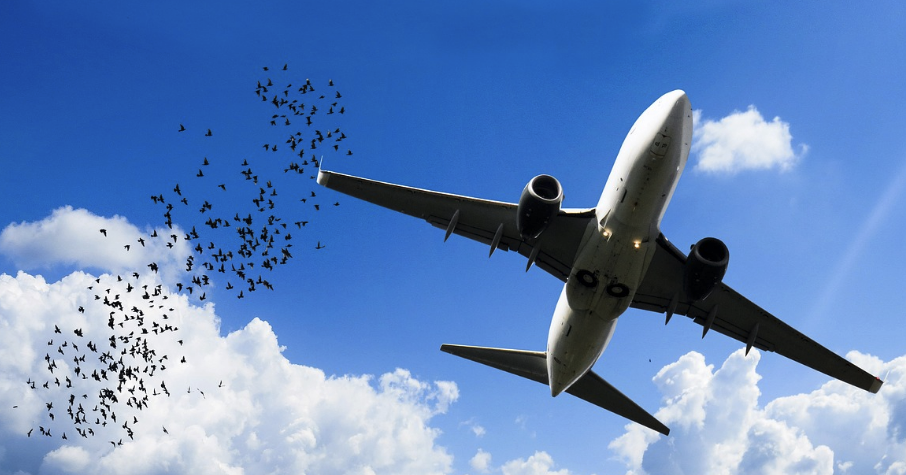 F.O.D(Foreign Object Damage