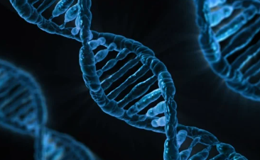 혈뇨가 나오는 이유 39