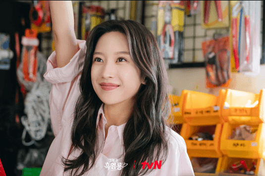 tvN Drama