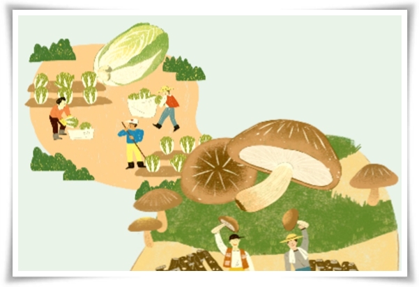 "텃밭, 4월에 심기 좋은 작물" 상추 시금치 열무 쑥갓 케일 루꼴라 당근 비트 무 감자 완두콩 땅콩 녹두 ...