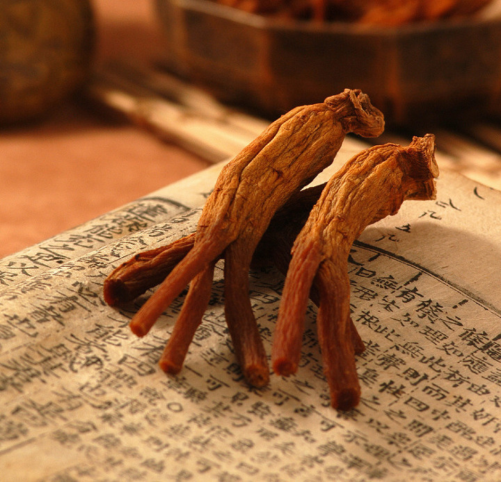 홍삼 성기능 정력