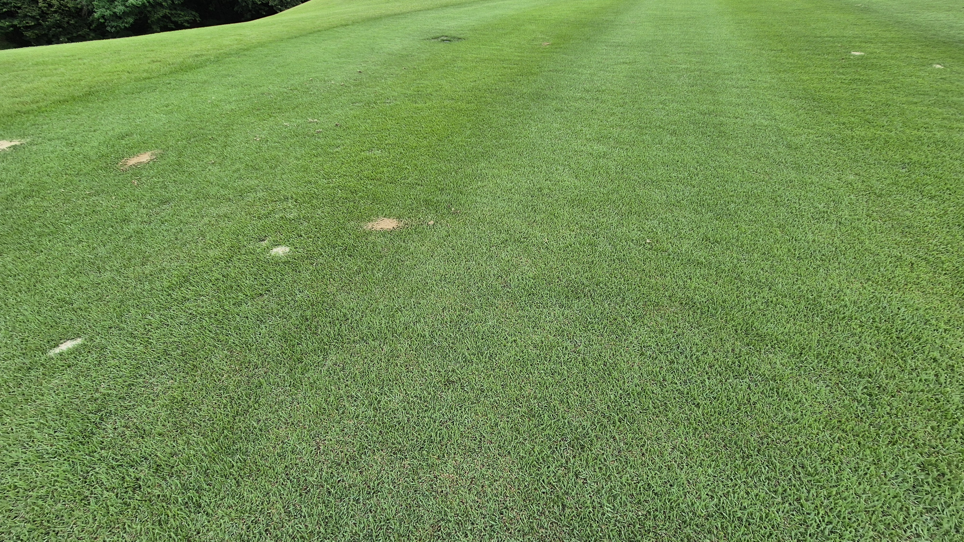 한림용인cc 다이아몬드-사파이어 코스 라운드 후기