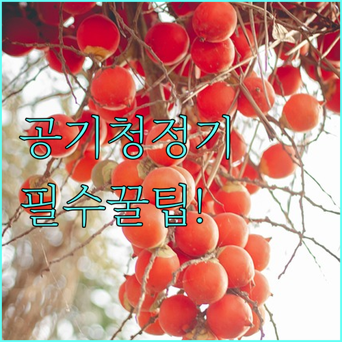 침실과 거실 공기청정기 선택 기준과 ..