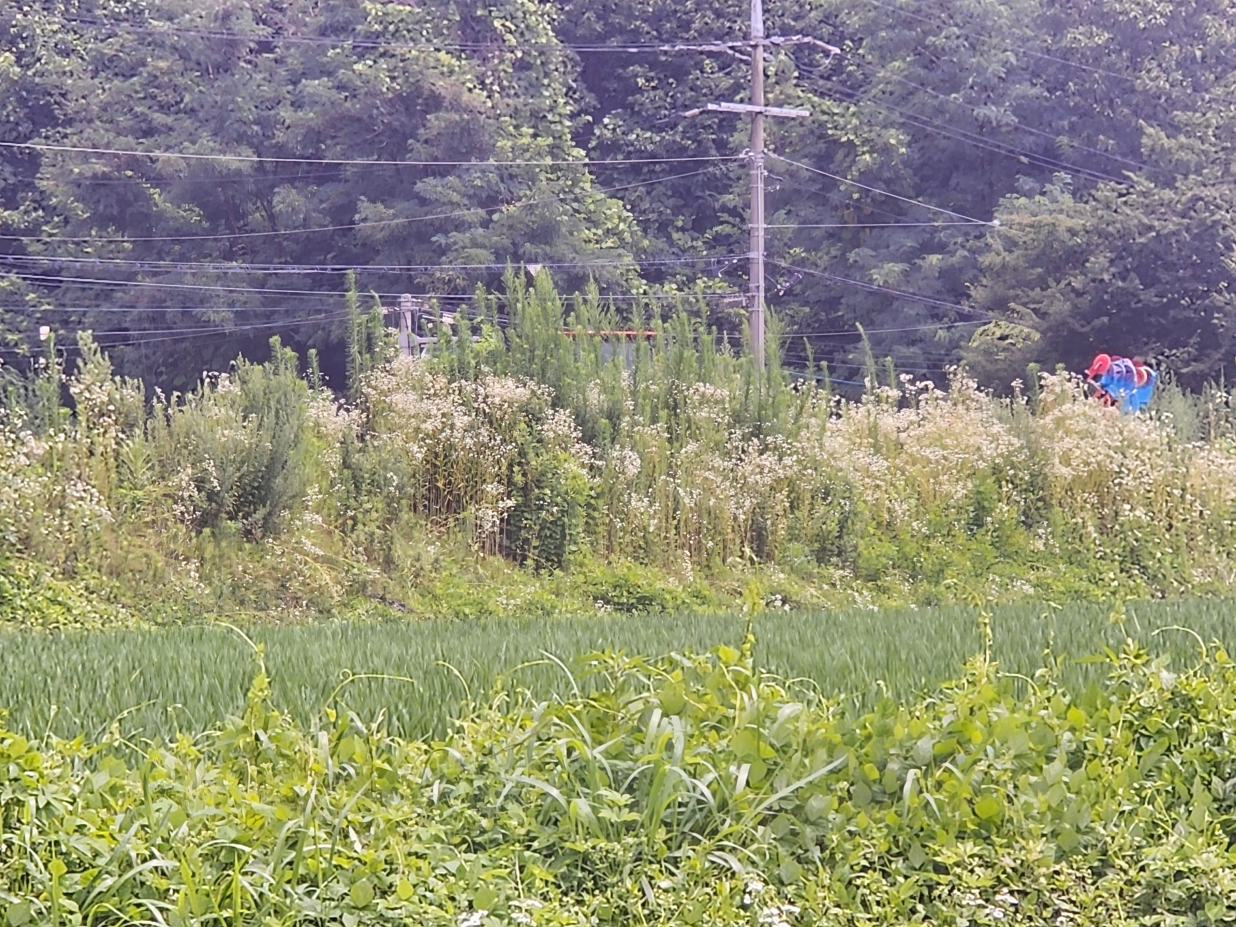 Alt 속성 문제 해결 설명 이미지