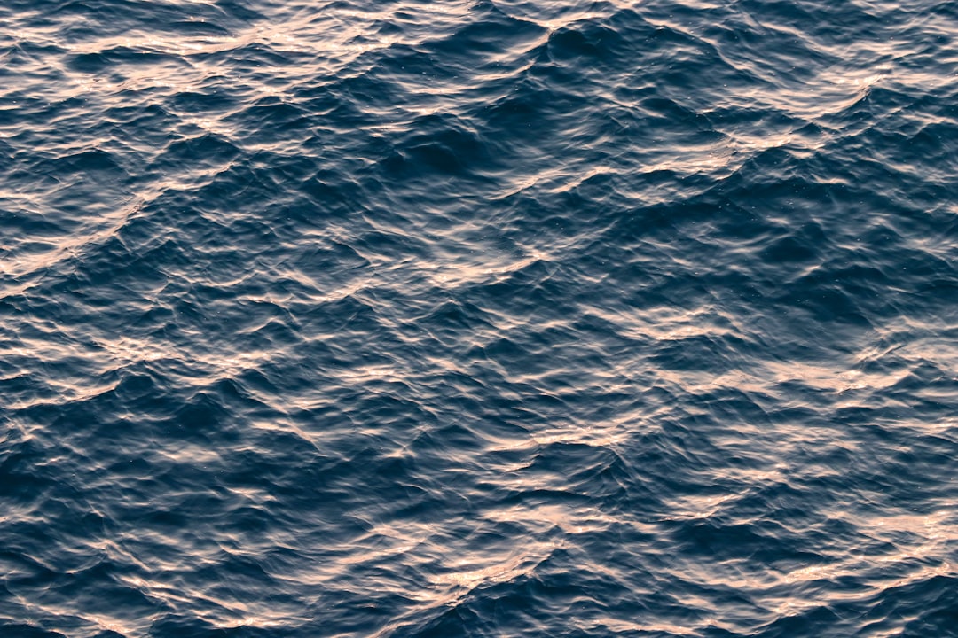 Salinity