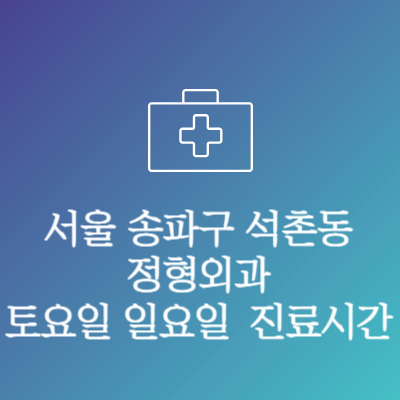 서울 송파구 석촌동 정형외과 주말 토요일 일요일 문여는 병원 진료시간