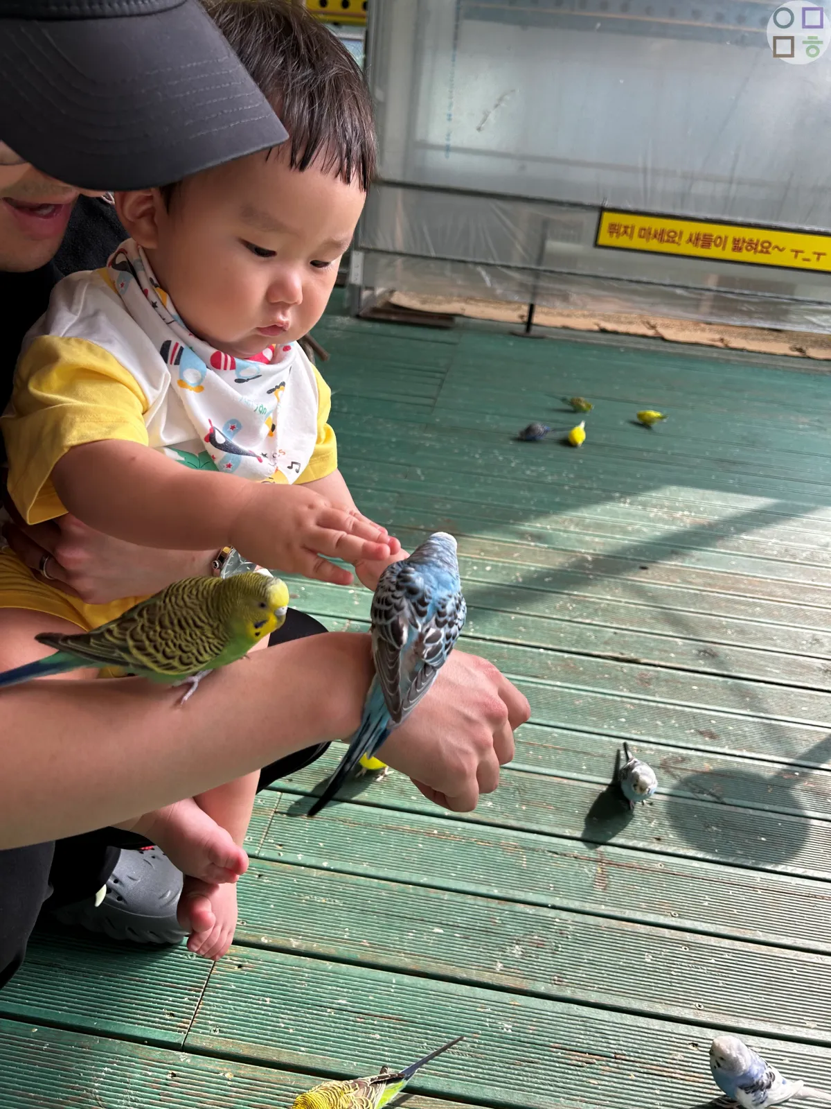 새를-만지는-아기-신기한-촉감