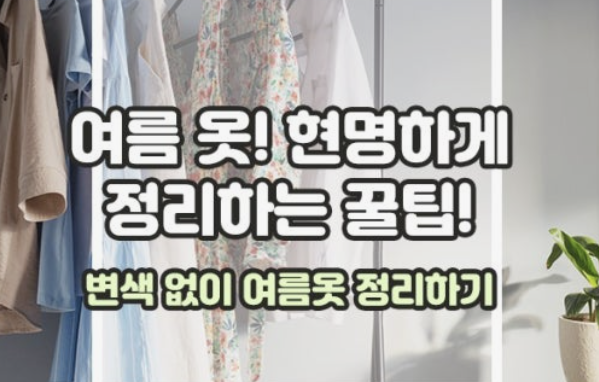 여름옷 정리 방법 - 내년에도 새 옷처럼! 