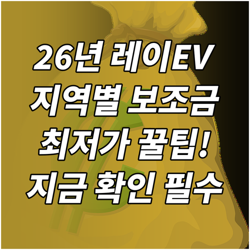 2026년 레이 EV 밴 지역별 보조..