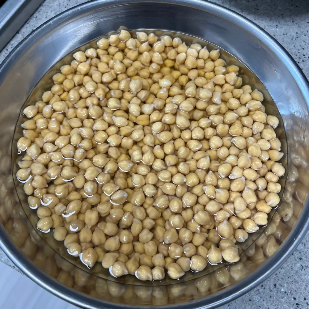 병아리콩 물에 불리기