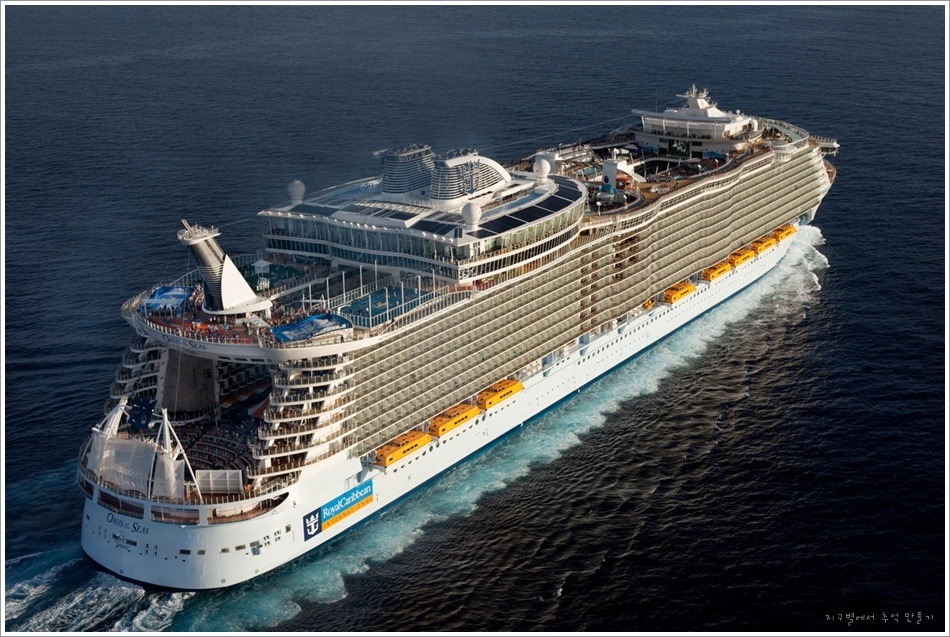 혼자 떠나는 크루즈 여행 (싱글 여행객 팁)