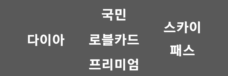 국민 로블 다이아몬드 스카이패스카드 알아보기