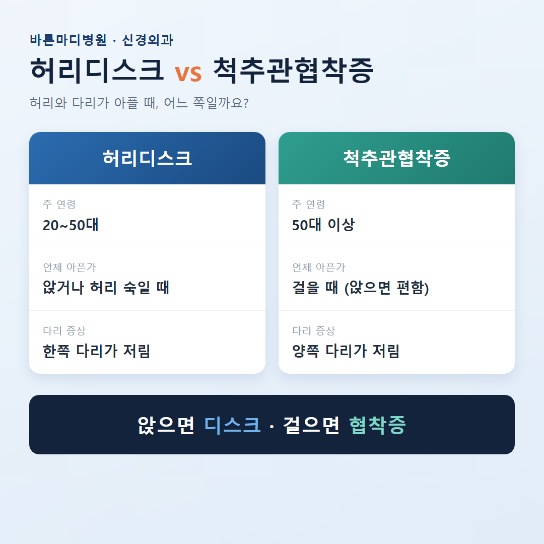 허리디스크 설명 이미지
