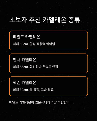 초보자에게 맞는 종류는?