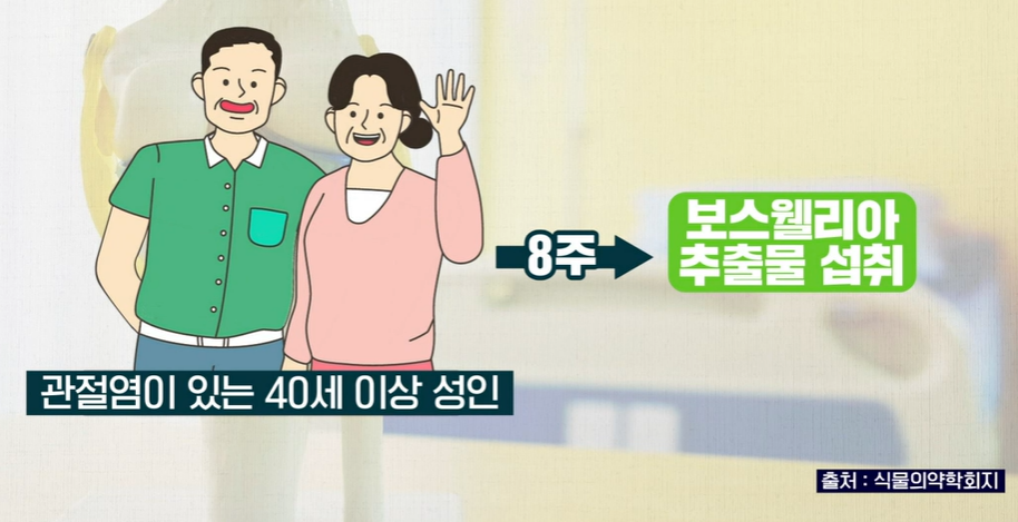 보스웰리아 효능