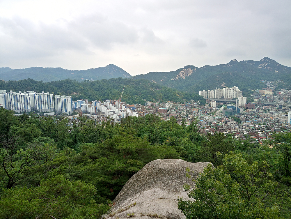 시장따라 나혼자걷기 챌린지