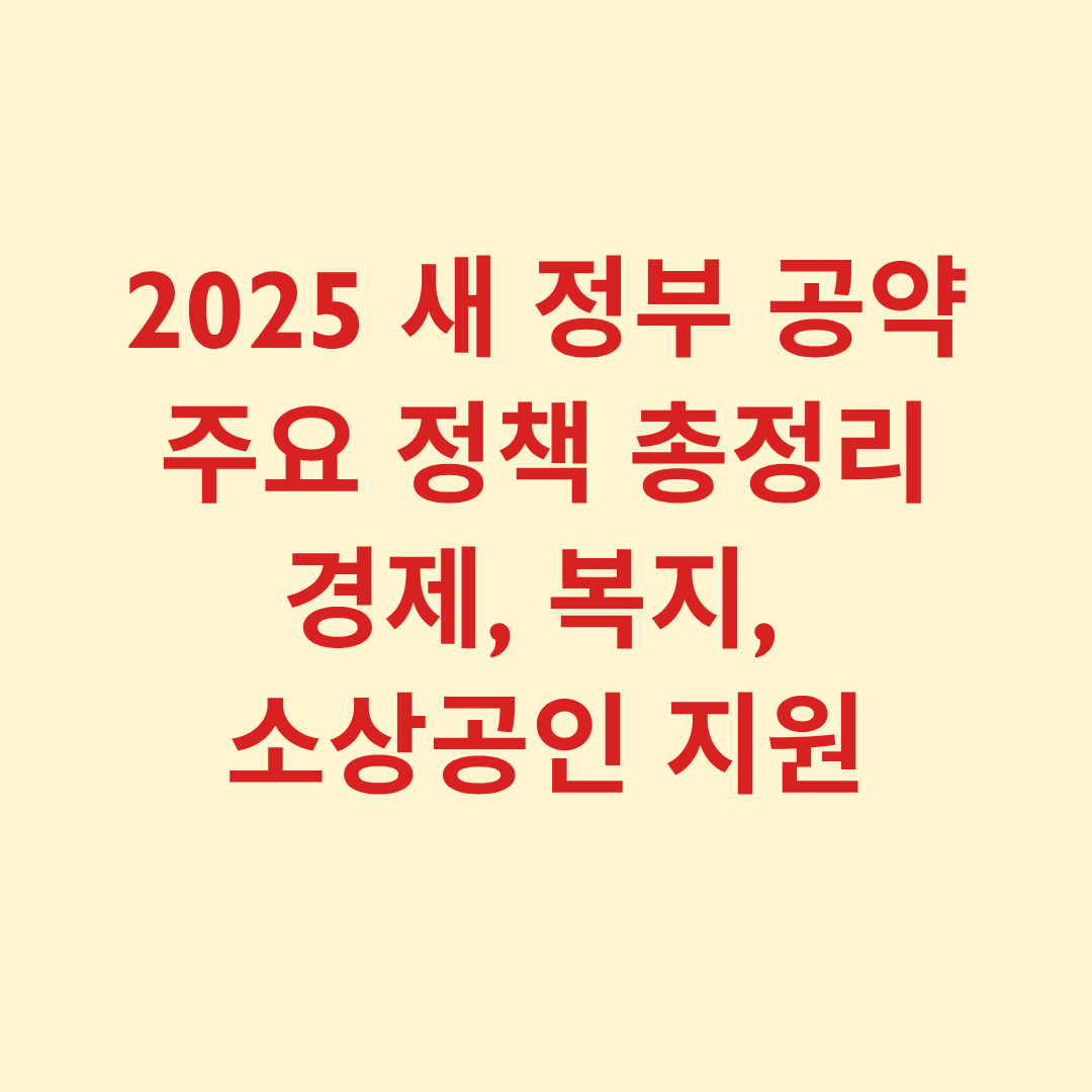 2025년 새 정부 공약 주요 정책