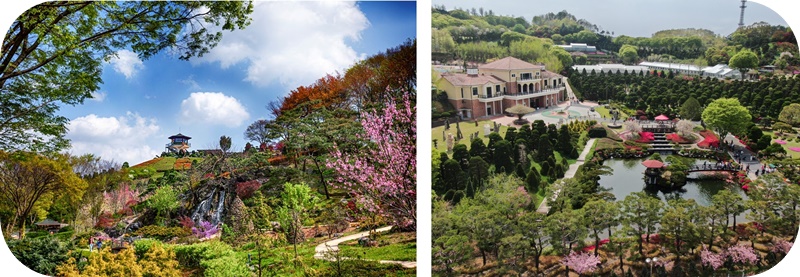 베어트리파크-항공뷰-전경