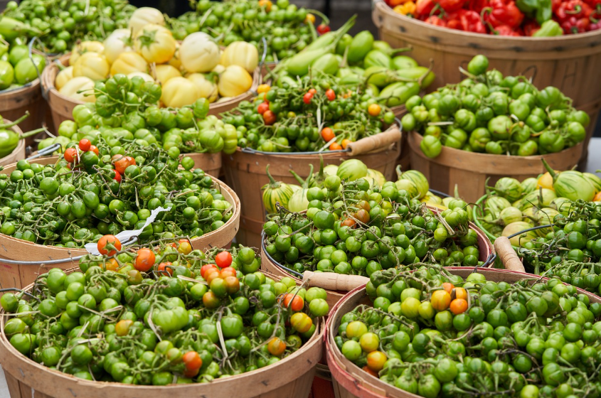 2025 전통시장 농축산물 상시 할인지원 시범사업|20% 할인받는 방법 총정리