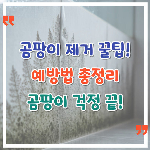 곰팡이-제거-꿀팁-예방법-총정리-곰팡이-걱정-끝