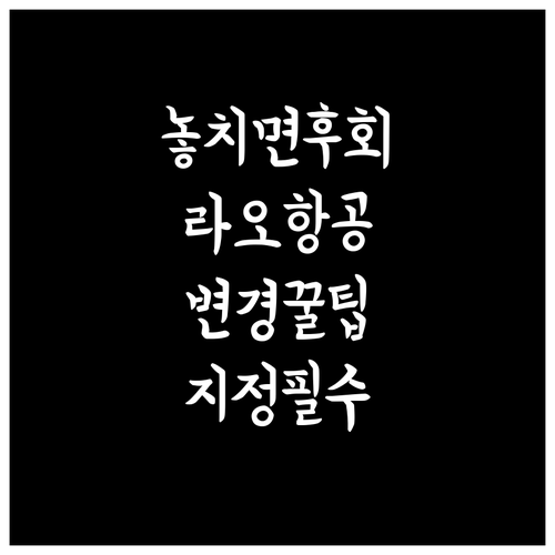 라오항공 좌석 지정 및 변경 꿀팁 총..